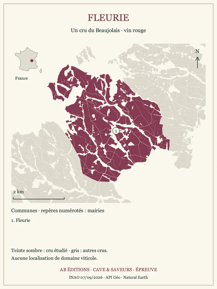 Délimitations de Fleurie et repères communaux