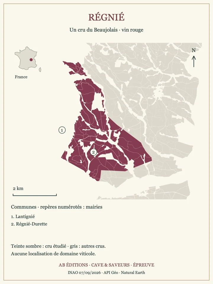 Délimitations de Régnié et repères communaux