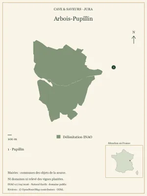 Poster cartographique : Arbois-Pupillin