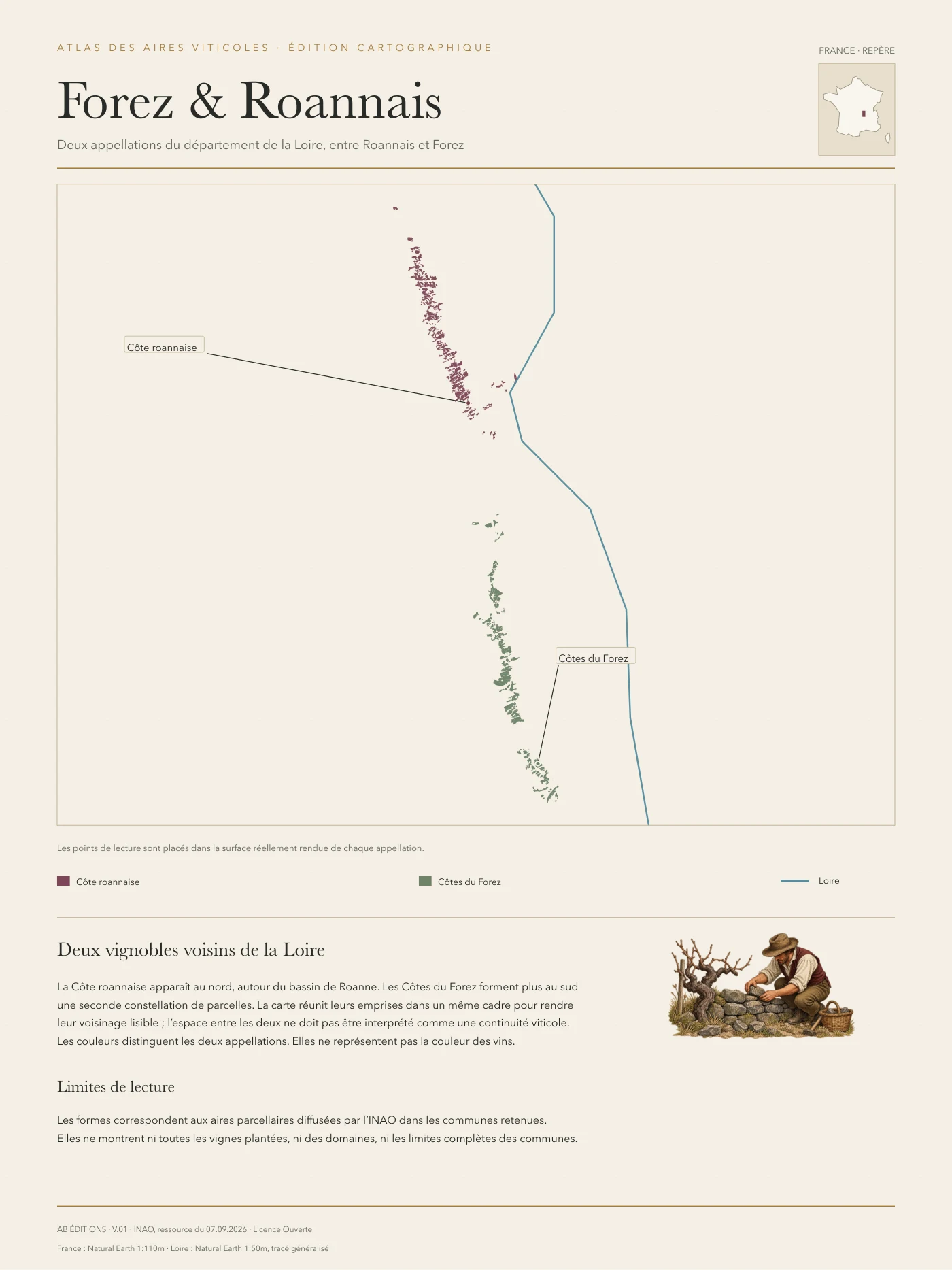Poster cartographique : Forez et Roannais — deux appellations