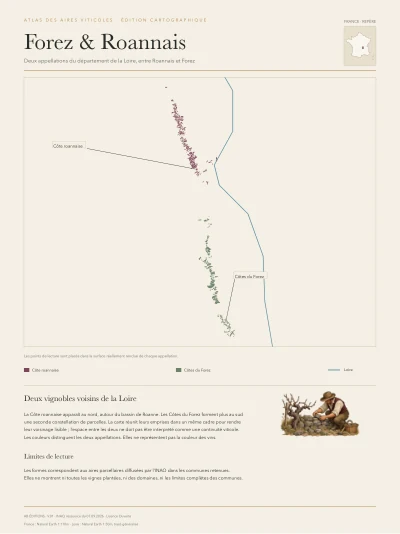 Poster cartographique : Forez et Roannais — deux appellations