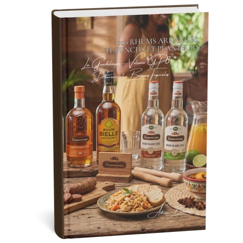 Couverture 3D — 100 rhums arrangés, ti-punchs et planteurs de Guadeloupe