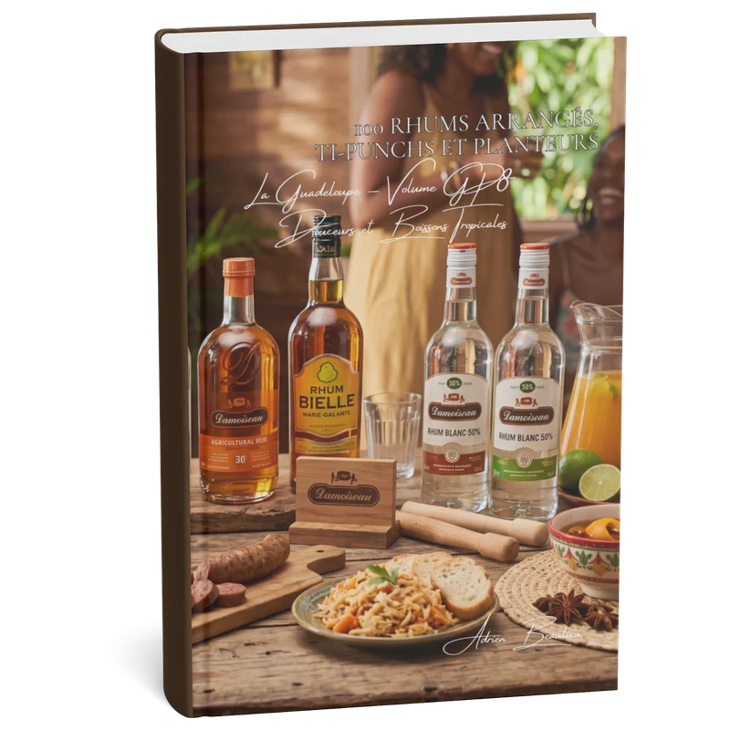 Couverture 3D — 100 rhums arrangés, ti-punchs et planteurs de Guadeloupe