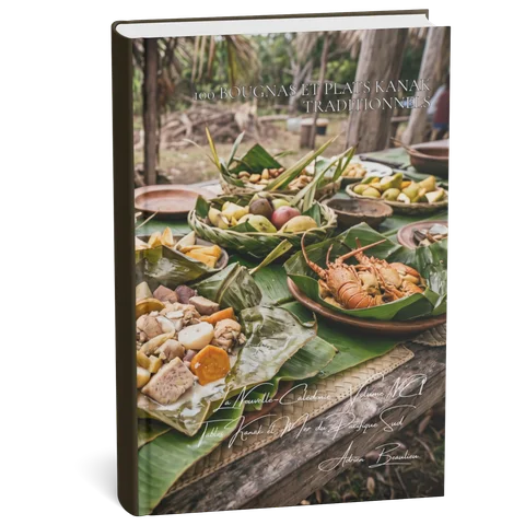 Couverture 3D — 100 bougnas et plats kanak traditionnels