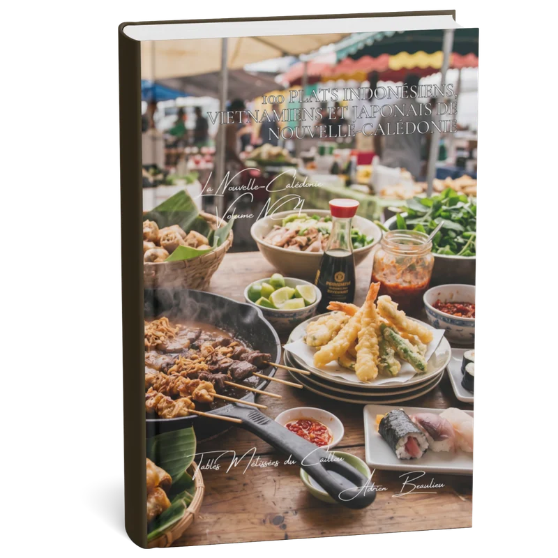 Couverture 3D — 100 plats indonésiens, vietnamiens et japonais de Nouvelle-Calédonie