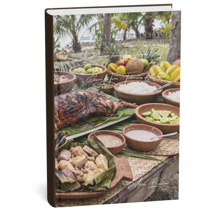 Couverture 3D — 100 recettes de cochon et viandes au four tahitien